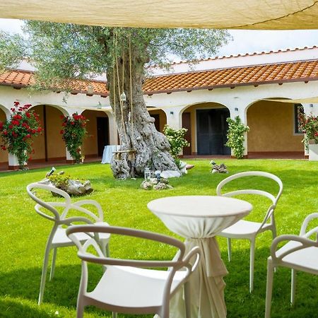 Tenuta Amalthea Villa Sessa Aurunca Kültér fotó