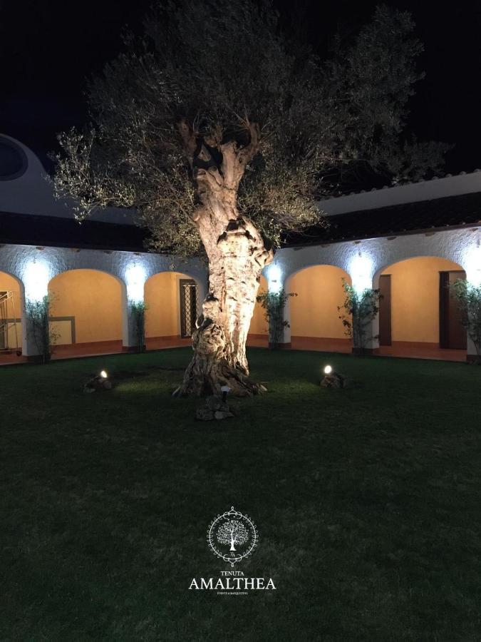 Tenuta Amalthea Villa Sessa Aurunca Kültér fotó