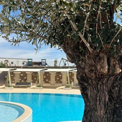 Tenuta Amalthea Villa Sessa Aurunca Kültér fotó